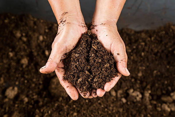 The Future of Soil Health
